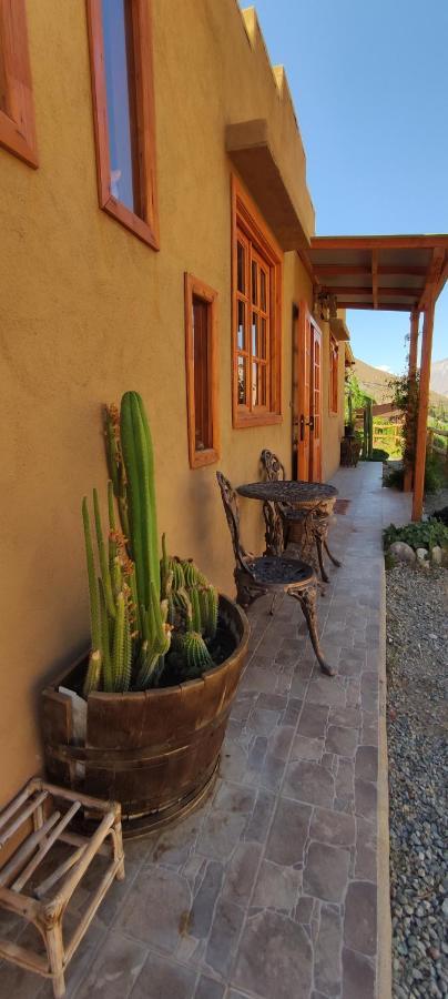 Casa Jardin De Hadas Con Vista Panoramica ピスコ・エルキ エクステリア 写真