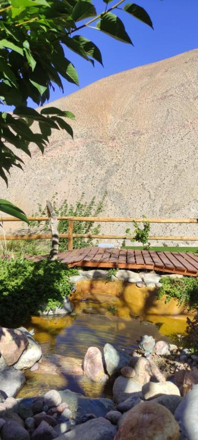 Casa Jardin De Hadas Con Vista Panoramica ピスコ・エルキ エクステリア 写真