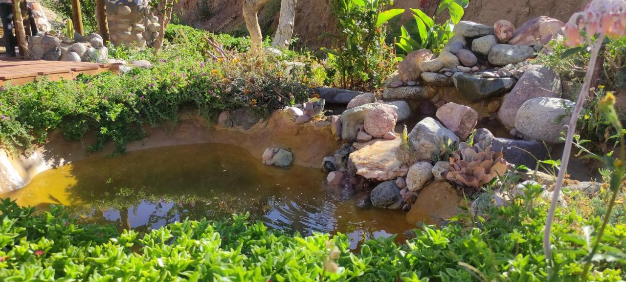 Casa Jardin De Hadas Con Vista Panoramica ピスコ・エルキ エクステリア 写真