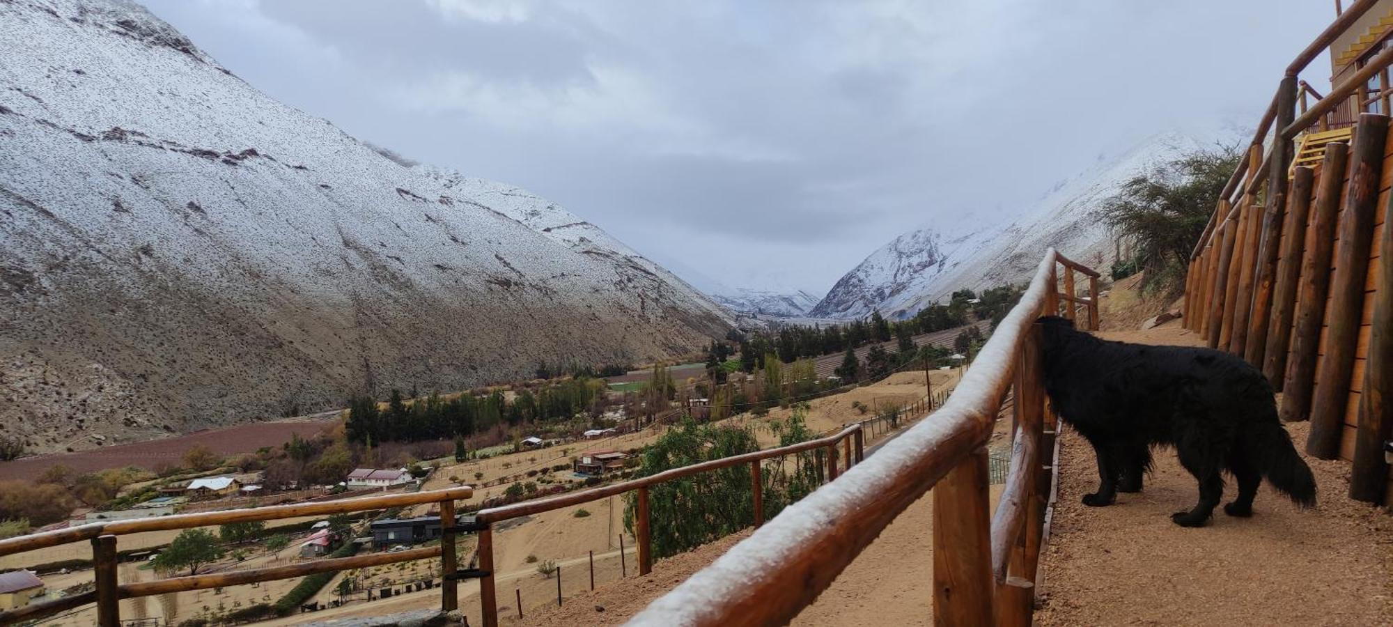 Casa Jardin De Hadas Con Vista Panoramica ピスコ・エルキ エクステリア 写真